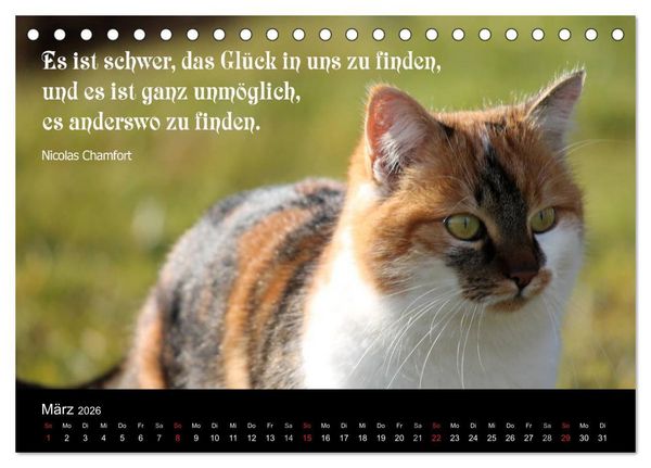 Produktbild: Gl&uuml;ckskatze - Mit Zitaten zum Thema Gl&uuml;ck (Tischkalender 2026 DIN A5 quer), CALVENDO Monatskalender