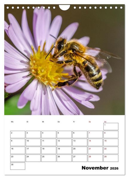 Produktbild: Hummeln und Bienen Terminplaner (Wandkalender 2026 DIN A4 hoch), CALVENDO Monatskalender