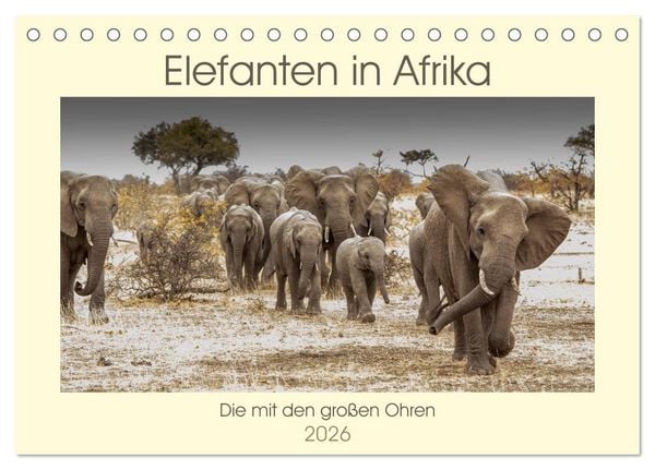 Produktbild: Elefanten in Afrika - Die mit den gro&szlig;en Ohren (Tischkalender 2026 DIN A5 quer), CALVENDO Monatskalender