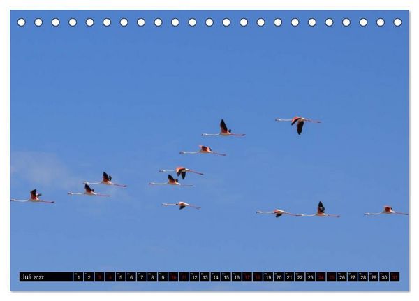Produktbild: Faszination Sardinien (Tischkalender 2027 DIN A5 quer), CALVENDO Monatskalender