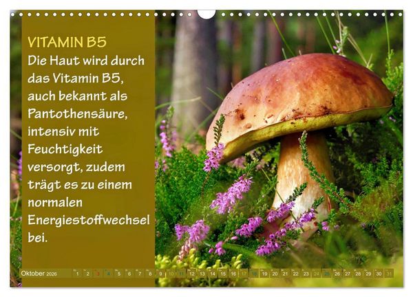 Produktbild: VITAMINE - Gesundheit aus der Natur (Wandkalender 2026 DIN A3 quer), CALVENDO Monatskalender