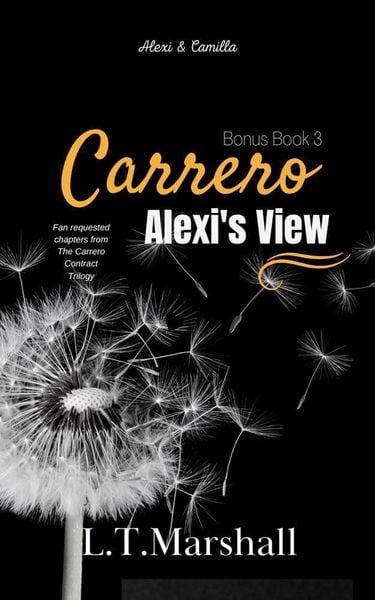 Produktbild: Alexi's View