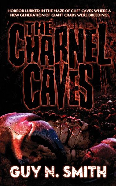 Produktbild: The Charnel Caves