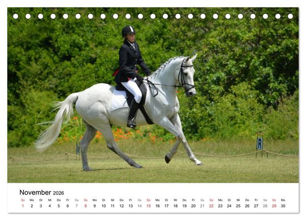 Produktbild: Vielseitigkeitsreiten (Tischkalender 2026 DIN A5 quer), CALVENDO Monatskalender