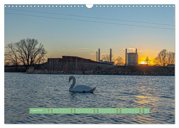Produktbild: Wolfsburg - einfach tierisch (Wandkalender 2026 DIN A3 quer), CALVENDO Monatskalender