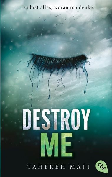 Cover of the book Destroy Me