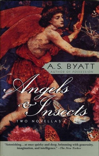 Produktbild: Angels & Insects