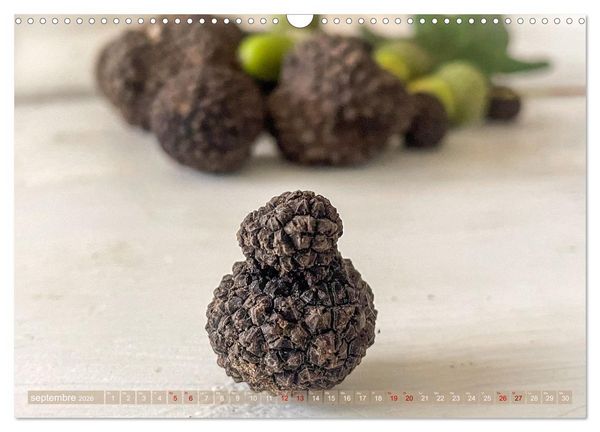 Produktbild: Tr&eacute;sors de truffes fran&ccedil;aises (Calendrier mural 2026 DIN A3 vertical), CALVENDO calendrier mensuel