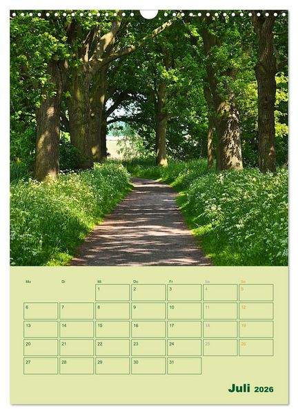 Produktbild: Wald- und Wiesenkalender 2026 Planer (Wandkalender 2026 DIN A3 hoch), CALVENDO Monatskalender