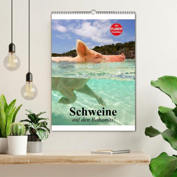 Produktbild: Schweine auf den Bahamas! (Wandkalender 2026 DIN A2 hoch), CALVENDO Monatskalender