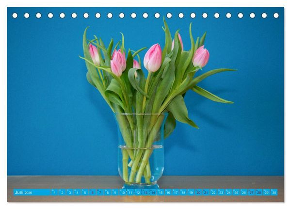 Produktbild: Still Life - Blumen vor der blauen Wand (Tischkalender 2026 DIN A5 quer), CALVENDO Monatskalender