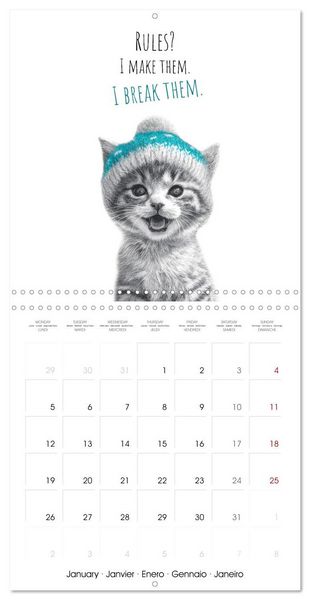 Produktbild: Purrfectly Cool Cats (Wall Calendar 2026 12 &times; 12 Inch) CALVENDO 12 Month Wall Calendar