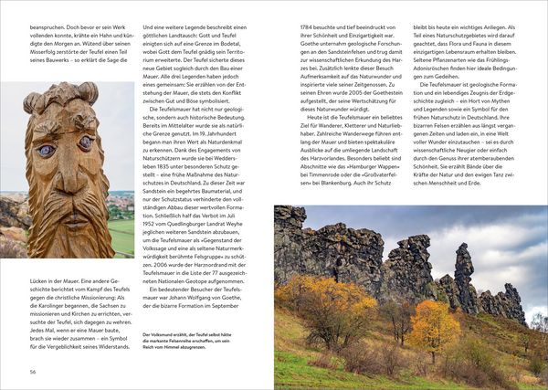 Produktbild: Das Buch der kuriosen Orte im Harz