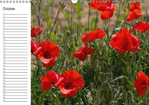 Produktbild: Ich denk an Dich ... Pers&ouml;nlicher Terminkalender (Wandkalender immerw&auml;hrend DIN A3 quer)