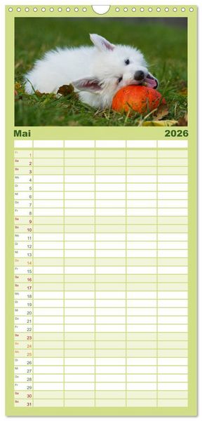 Produktbild: Familienplaner 2026 - Wei&szlig;er Schweizer Sch&auml;ferhund - Ein Tag im Leben einer Hundefamilie mit 5 Spalten (Wandkalender, 21 x 45 cm) CALVENDO