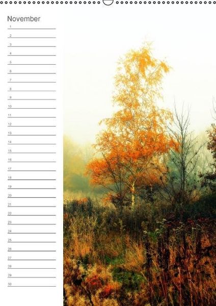 Produktbild: Malerisches Teufelsmoor (Wandkalender immerw&auml;hrend DIN A2 hoch)