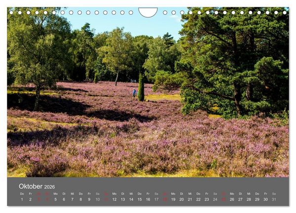 Produktbild: Moor- und Heidelandschaften Niedersachsen (Wandkalender 2026 DIN A4 quer), CALVENDO Monatskalender