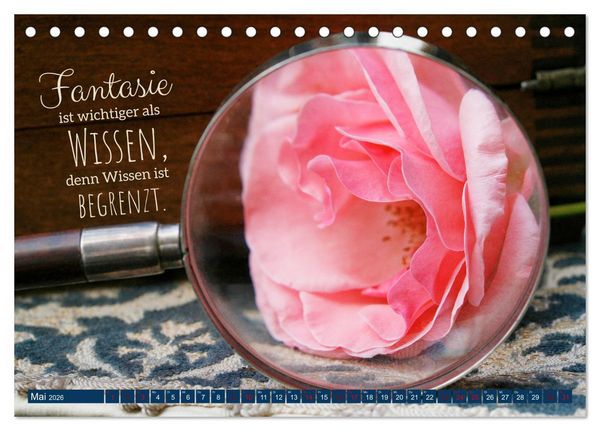 Produktbild: Jeder ist ein Genie! Zitate von Albert Einstein (Tischkalender 2026 DIN A5 quer), CALVENDO Monatskalender