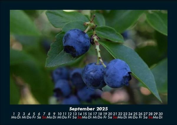 Produktbild: Obstkalender 2025 Fotokalender DIN A5