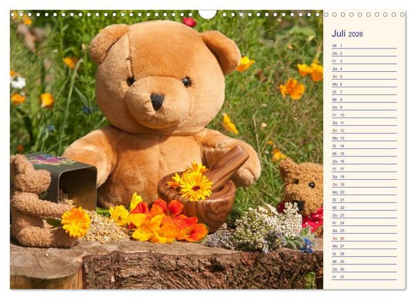 Produktbild: Geliebte B&auml;ren - Teddys (Wandkalender 2026 DIN A3 quer), CALVENDO Monatskalender