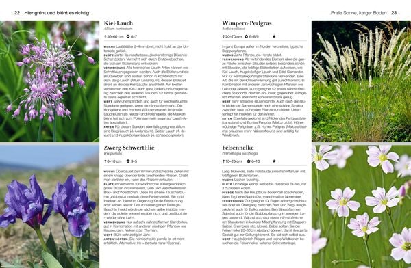 Produktbild: Welche Pflanze passt wohin im Naturgarten?