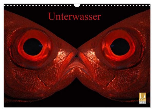 Produktbild: Unterwasser (Wandkalender 2026 DIN A3 quer), CALVENDO Monatskalender