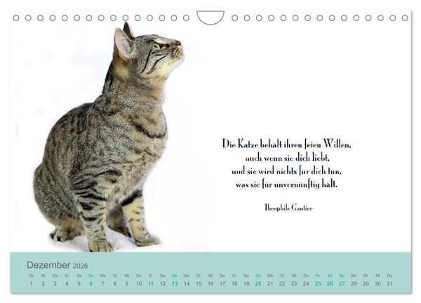 Produktbild: Katzenzitate 2026 (Wandkalender 2026 DIN A4 quer), CALVENDO Monatskalender