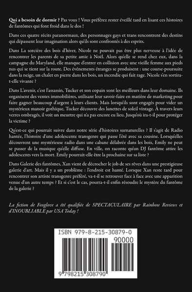 Produktbild: Histoires de fant&ocirc;mes gays volume 1