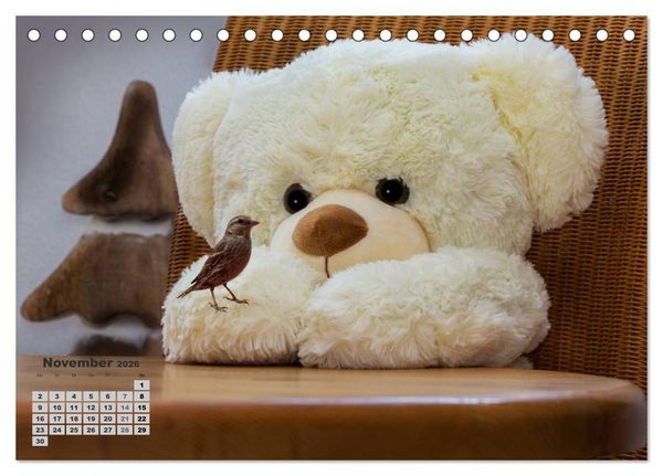 Produktbild: Teddys, wollen wir Kalender anschauen? (Tischkalender 2026 DIN A5 quer), CALVENDO Monatskalender