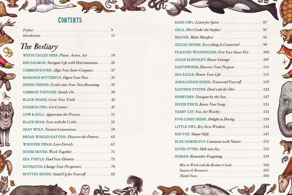 Produktbild: The Illustrated Bestiary
