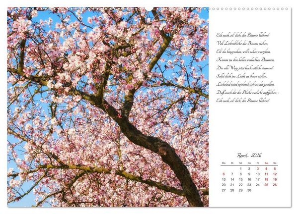 Produktbild: Max Dauthendey - Mit der Natur durchs Jahr (Wandkalender 2026 DIN A2 quer), CALVENDO Monatskalender