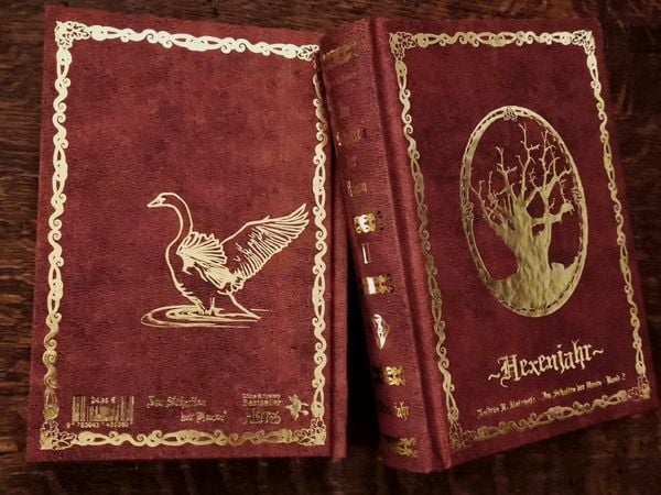 Produktbild: Im Schatten der Hexen 2 Hexenjahr