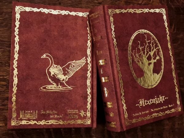 Produktbild: Im Schatten der Hexen II