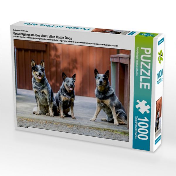 CALVENDO Puzzle Ein Motiv aus dem Kalender Spaziergang am See Australian Cattle Dogs | 1000 Teile Lege-Größe 64x48cm Foto-Puzzle für glückliche