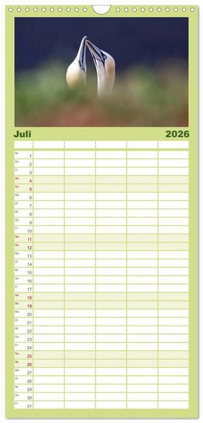 Produktbild: Familienplaner 2026 - Helgoland mit 5 Spalten (Wandkalender, 21 x 45 cm) CALVENDO