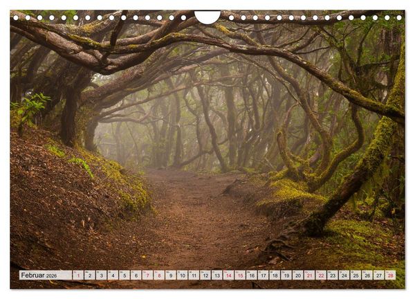 Produktbild: Die stille Magie der Insel Teneriffa (Wandkalender 2026 DIN A4 quer), CALVENDO Monatskalender