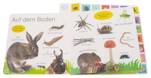 Produktbild: Erstes Lernen. In der Natur
