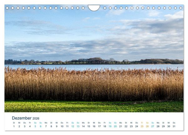 Produktbild: Die Schlei - Segelrevier und Naherholungsgebiet (Wandkalender 2026 DIN A4 quer), CALVENDO Monatskalender
