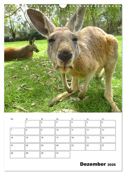 Produktbild: Australiens faszinierende Tierwelt (Wandkalender 2026 DIN A3 hoch), CALVENDO Monatskalender