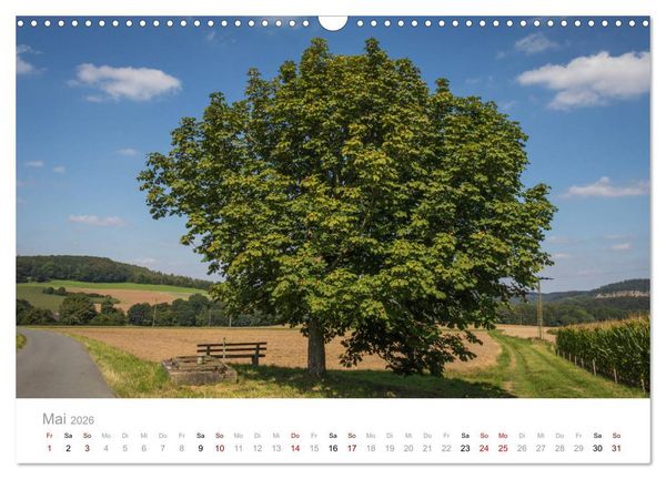 Produktbild: Wundersch&ouml;ne B&auml;ume im Sauerland (Wandkalender 2026 DIN A3 quer), CALVENDO Monatskalender