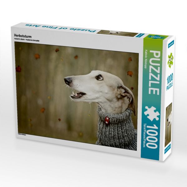 CALVENDO Puzzle Herbststurm | 1000 Teile Lege-Größe 64 × 48 cm Foto-Puzzle für glückliche Stunden