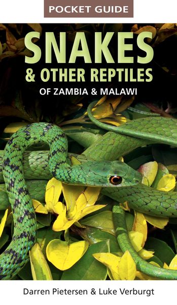 Produktbild: Pocket Guide Snakes & Other Reptiles of Zambia & Malawi