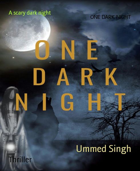 Produktbild: One Dark Night