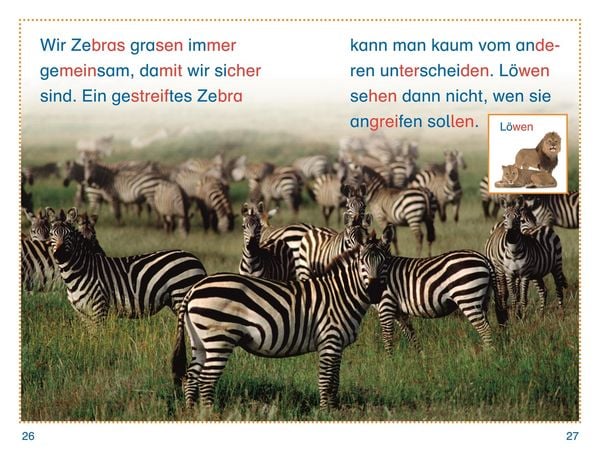 Produktbild: SUPERLESER! Tiere, top getarnt