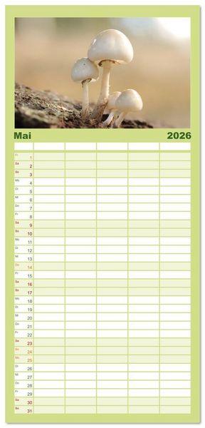 Produktbild: Familienplaner 2026 - Wundersame Pilzwelten mit 5 Spalten (Wandkalender, 21 x 45 cm) CALVENDO