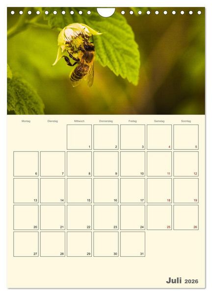 Produktbild: Bienen im Naturgarten (Wandkalender 2026 DIN A4 hoch), CALVENDO Monatskalender
