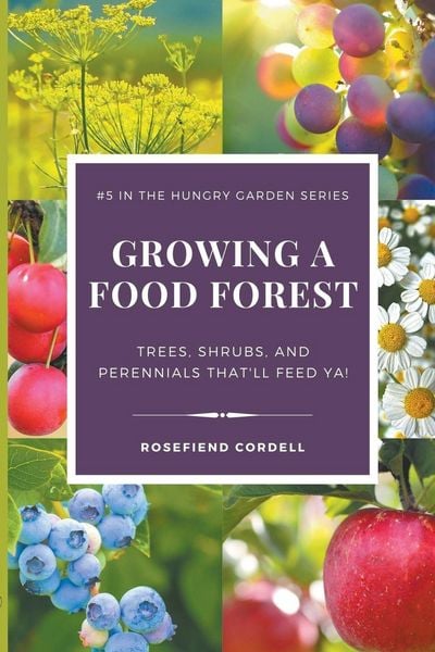 Produktbild: Growing a Food Forest - Trees, Shrubs, & Perennials That'll Feed Ya!