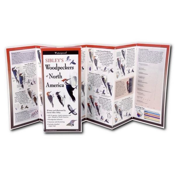 Produktbild: Sibley, D: Sibley's Woodpeckers of North America