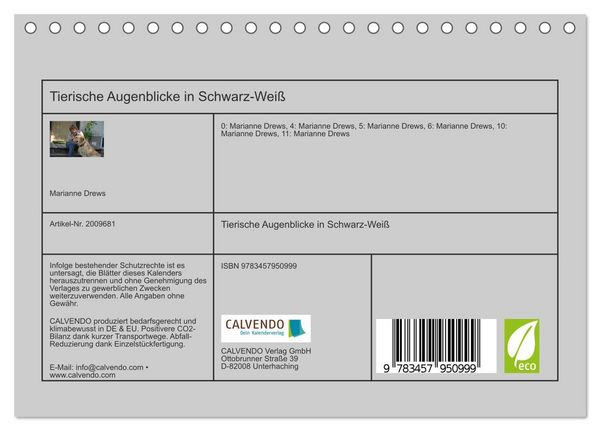 Produktbild: Tierische Augenblicke in Schwarz-Wei&szlig; (Tischkalender 2026 DIN A5 quer), CALVENDO Monatskalender