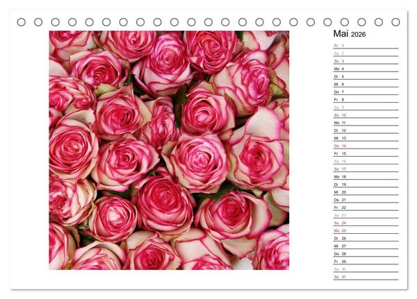 Produktbild: Die vielen Gesichter der Rosen (Tischkalender 2026 DIN A5 quer), CALVENDO Monatskalender